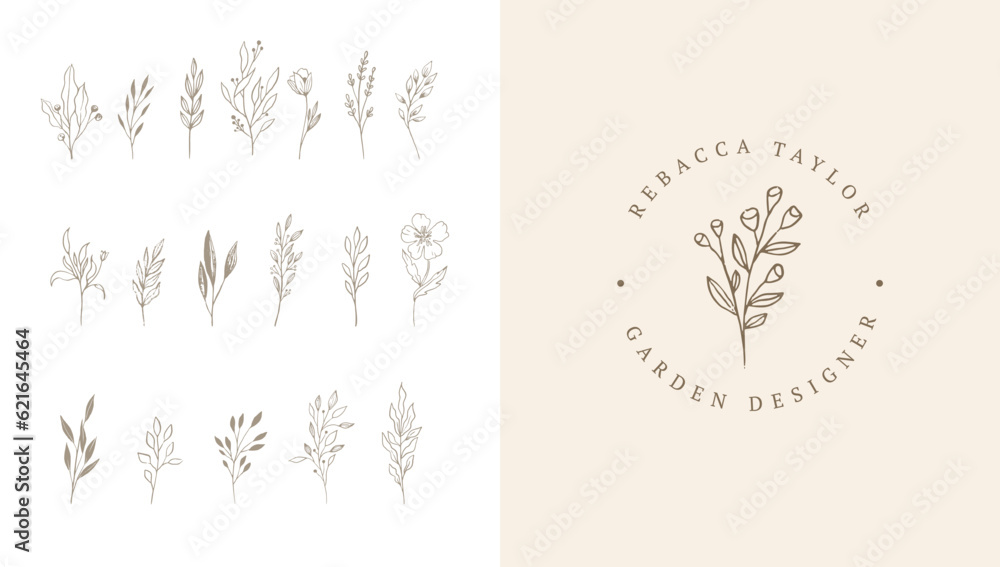 Botanical elegant, delicate hand drawn elements, minimalist modern style. Vector illustrations