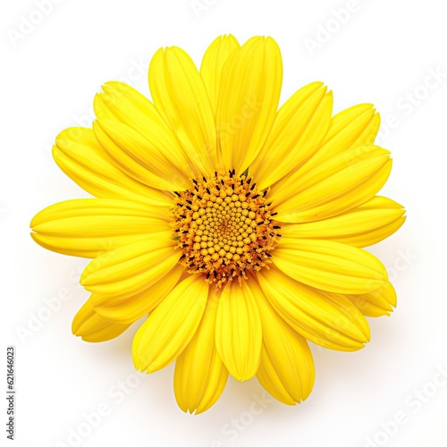 Isolated Yellow Flower Head on White Background - Single Blossom of Nature s Floral Beauty  Generative AI