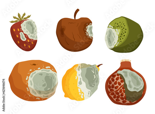 Decomposed And Decaying Fruits, Strawberry, Apple, Kiwi and Orange, Lemon and Garnet That Have Lost Freshness