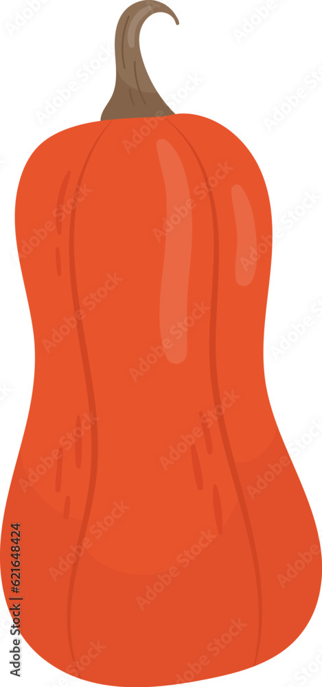 Pumpkin Vegetable Ripe Pumpkin Vegetable Ripe