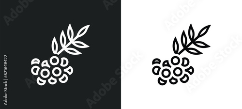 rowan outline icon in white and black colors. rowan flat vector icon from autumn collection for web, mobile apps and ui.