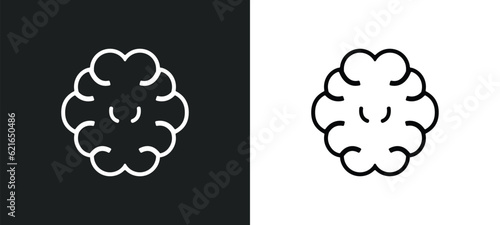 brain outline icon in white and black colors. brain flat vector icon from artificial intelligence collection for web, mobile apps and ui.