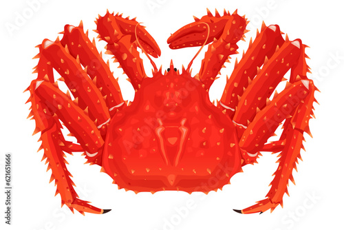 Red king crab isolated on white background. Vector eps 10