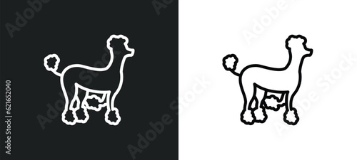 outline icon in white and black colors. flat vector icon from collection for web  mobile apps and