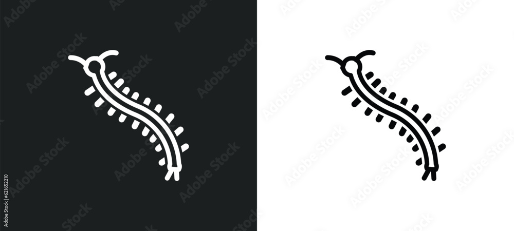 centipede outline icon in white and black colors. centipede flat vector icon from animals collection for web, mobile apps and ui.