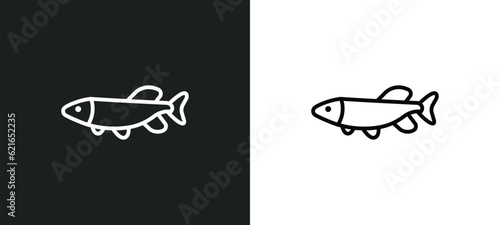pike outline icon in white and black colors. pike flat vector icon from animals collection for web, mobile apps and ui. photo