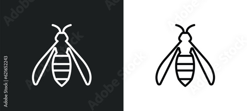 wasp outline icon in white and black colors. wasp flat vector icon from animals collection for web, mobile apps and ui.
