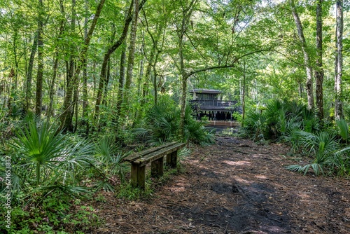 julington creek preserve