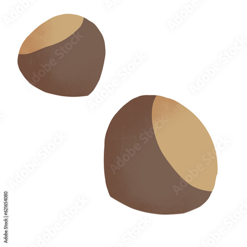 Chestnut design photo