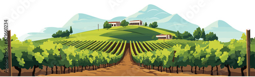 A vineyard vector simple 3d smooth cut and paste isolated illustration photo