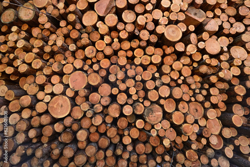 Lumber stored in a lumber yard