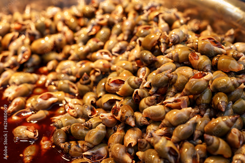 River snails in a bowl. Chinese Delicacy of Small Seafood Dunked in Flavorful Sauce. River snails in a bowl. Chinese Delicacy of Small Seafood Dunked in Flavorful Sauce.
