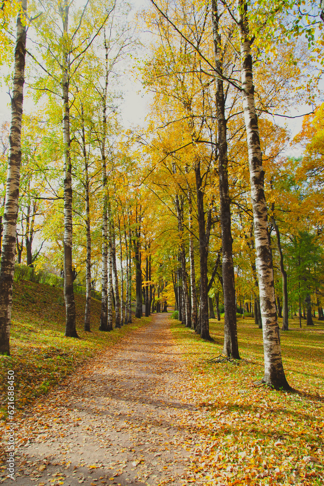Naklejka premium Autumn park landscape . Golden autumn in the city park. Photos on the calendar. Season. September, October, November