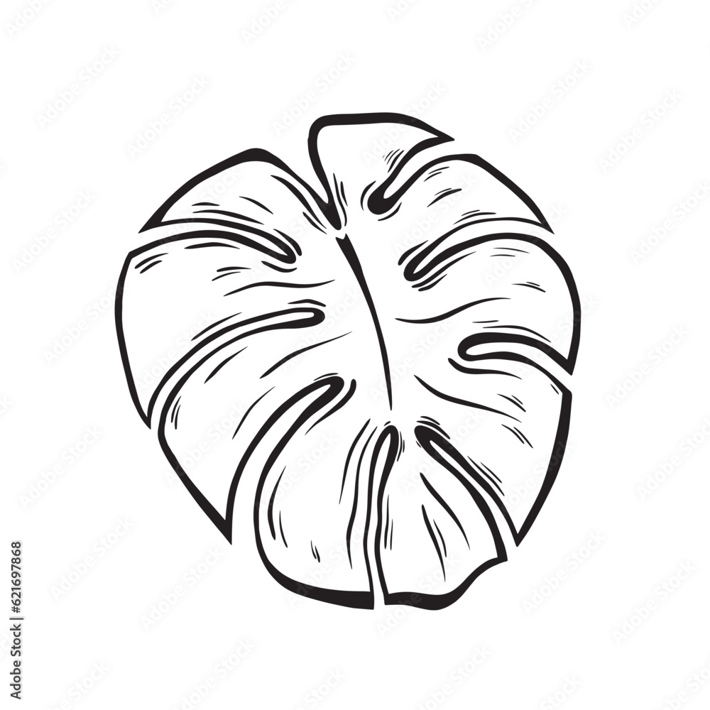 Exotic plant - Monstera Deliciosa. Black contours isolated on a white background eps 10 Exotic plant - Monstera Deliciosa. Black contours isolated on a white background eps 10