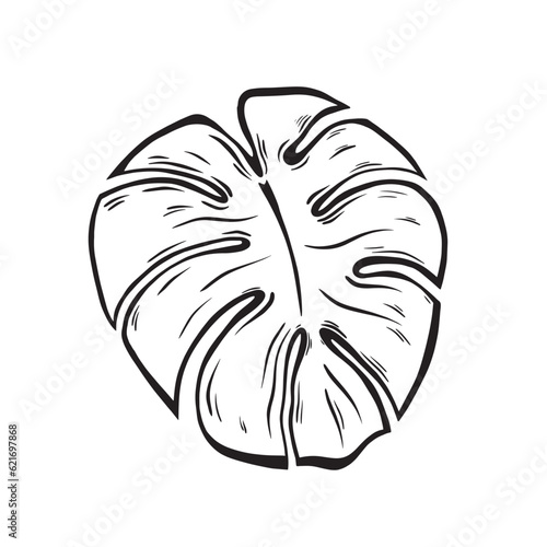 Exotic plant - Monstera Deliciosa. Black contours isolated on a white background eps 10