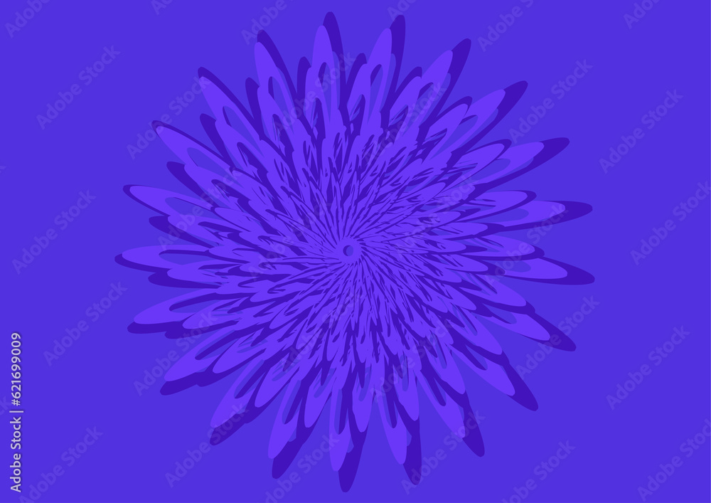 blue anemone flower blue anemone flower