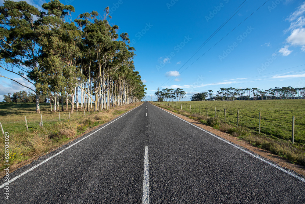 Road in the countryside of La Laguna de Rocha in La Paloma, Uruguay