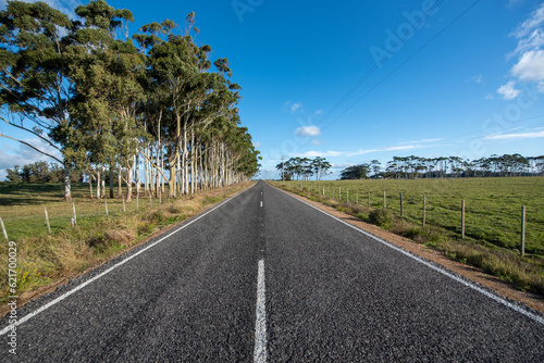 Road in the countryside of La Laguna de Rocha in La Paloma, Uruguay photo