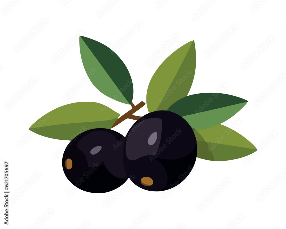 Ripe olives on fresh green branch Ripe olives on fresh green branch