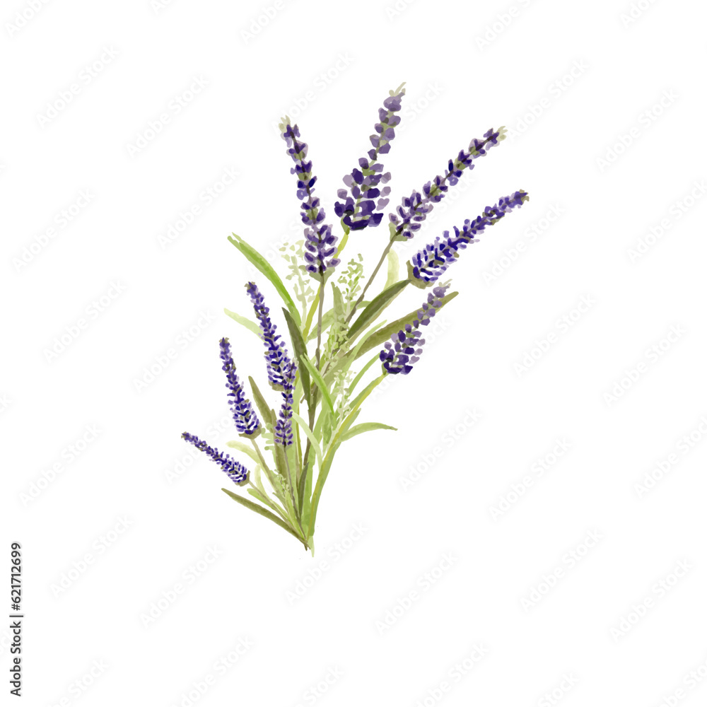 Naklejka premium Beautiful lavender flower bouquet