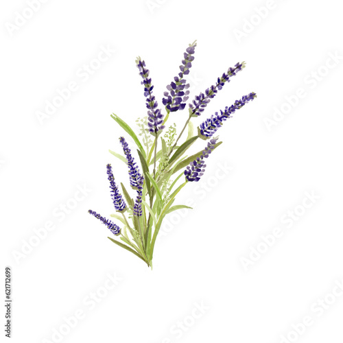 Beautiful lavender flower bouquet