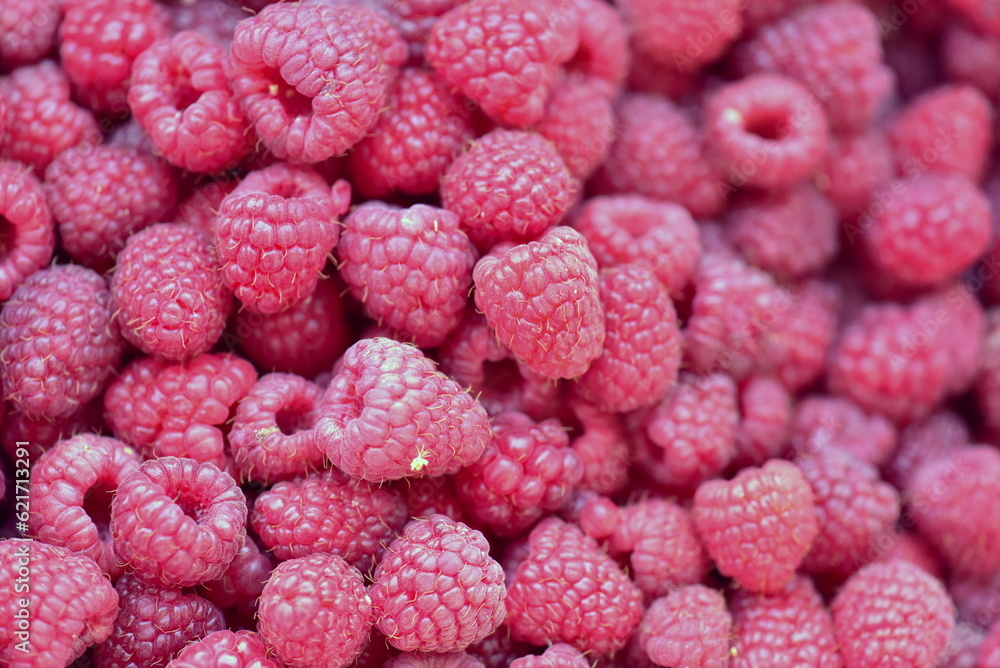 close up of ripe raspberries close up of ripe raspberries