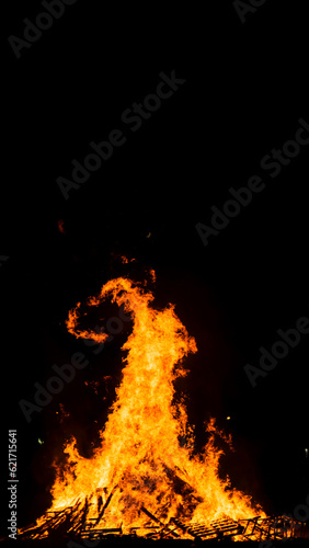 big bonfire on the beach at night with beautiful forms on the flames