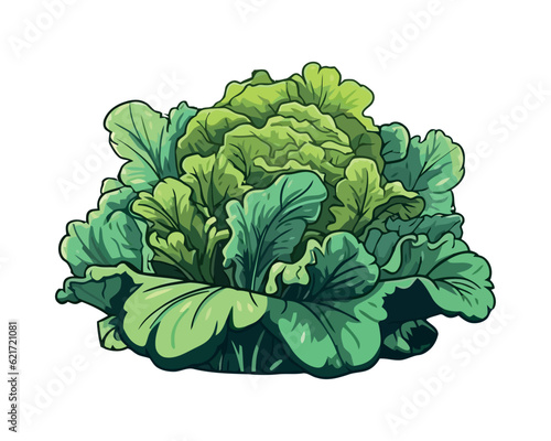 Fresh organic vegetable salad, healthy eating symbol