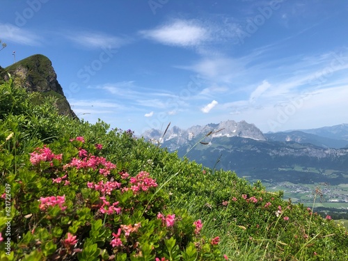 Kitzbühler Alpen - Kitzbühler Horn