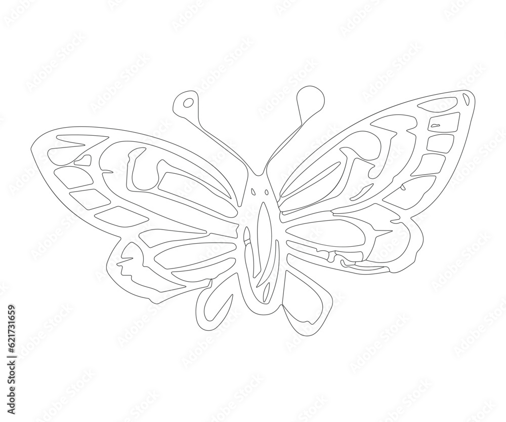 Vector hand drawn butterfly art. Vector illustration of black and white butterfly coloring book use Vector hand drawn butterfly art. Vector illustration of black and white butterfly coloring book use