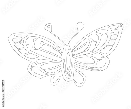 Vector hand drawn butterfly art. Vector illustration of black and white butterfly coloring book use