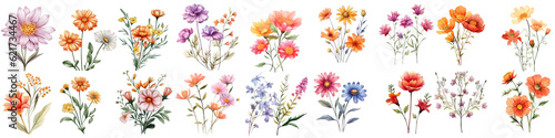 Set of Beautiful Flower Bouquet Illustrations  Vibrant and Delicate Floral Art for Artistic Designs   Isolated PNG