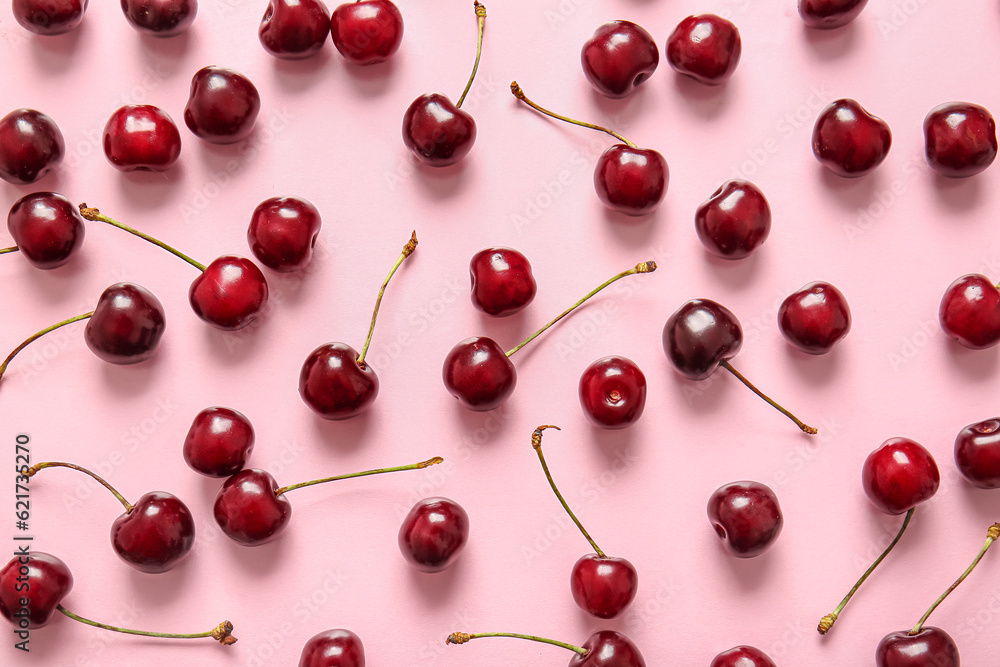Many sweet cherries on pink background Many sweet cherries on pink background