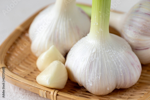Canvastavla 新鮮な新にんにく