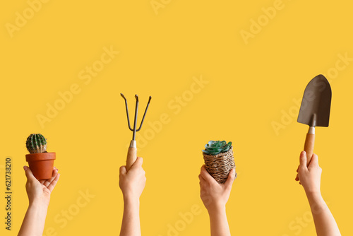Fotografia People with shovel, rake and succulents on yellow background