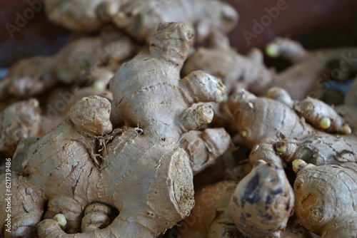 A lot of Ginger root. Heap of Fresh Ginger in Thailand fresh market. Raw Organic Spicy Ginger Root. Ingredient for Thai foods. 