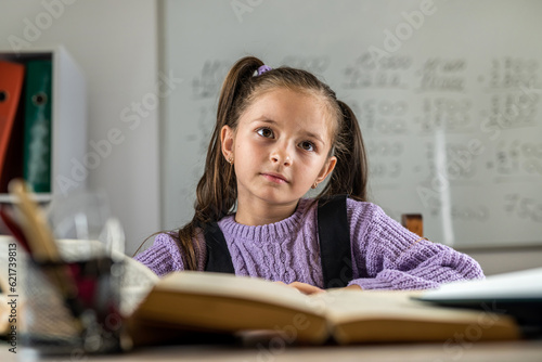smiling girl student with many books at school at desk.