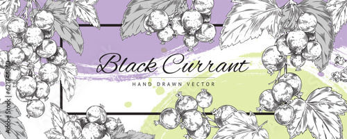 Decorative frame with hand drawn blackcurrant berries and leaves sketch style