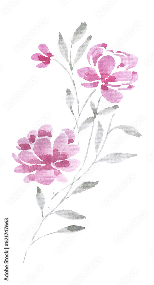 Pink Soft Rose Watercolor Flower