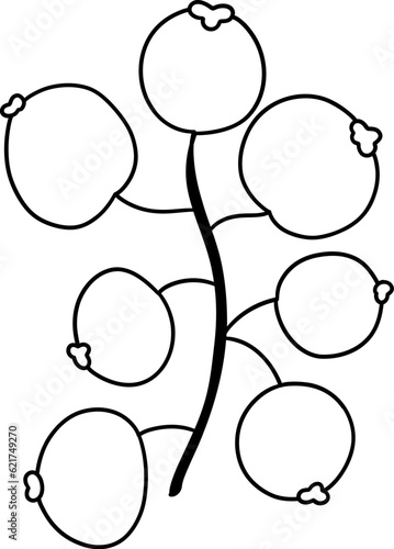 Autumn Holly berries, Autumn or Fall Animal, illustration