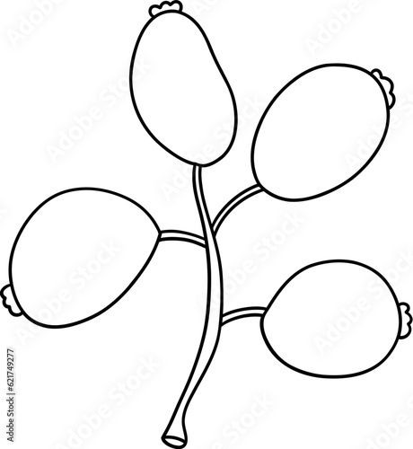 Autumn Holly berries, Autumn or Fall Animal, illustration