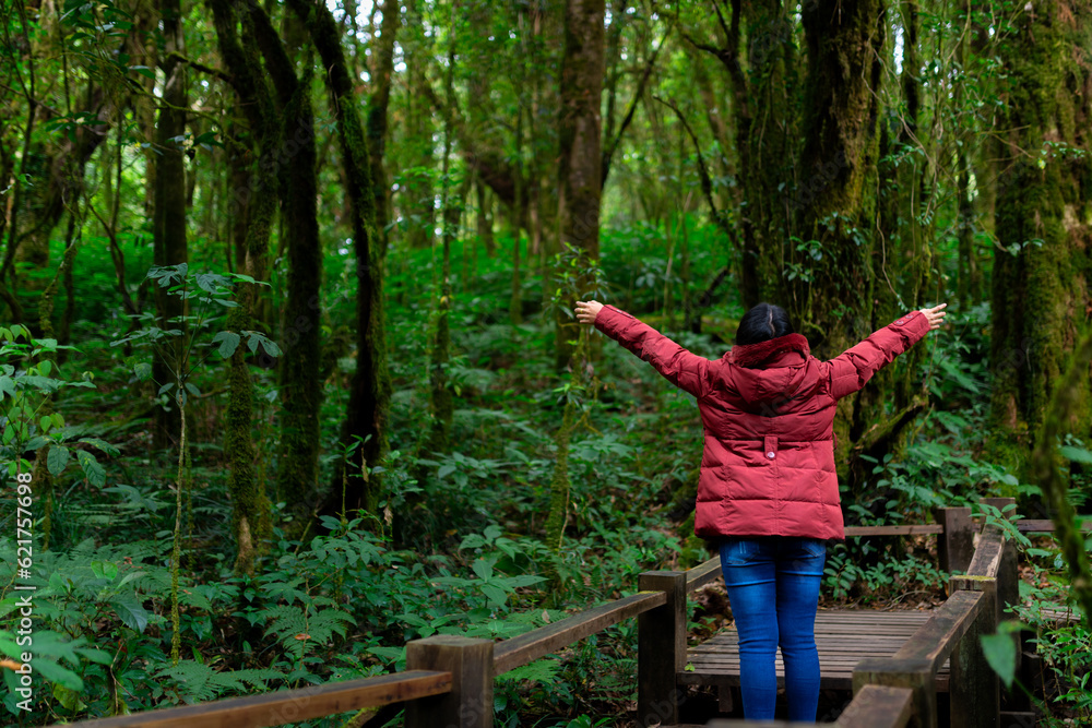 Female photographer taking nature pictures inside the rainforest Female photographer taking nature pictures inside the rainforest