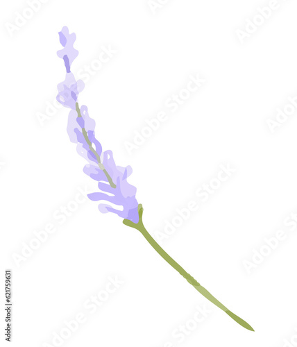 Fototapeta Naklejka Na Ścianę i Meble -   Watercolor purple floral bouquet