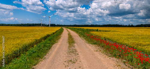 Countryside gravel road among summer fields with ripe wheat  and wildflowers ...