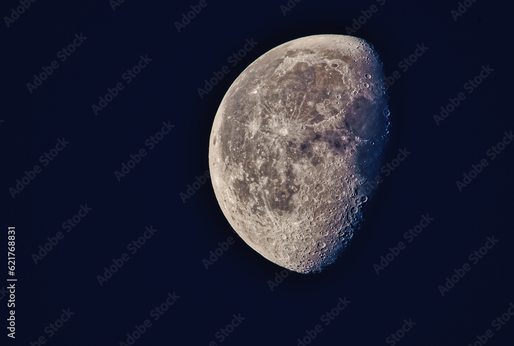 Fototapeta premium moon