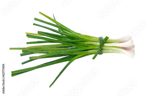 Green onion transparent png