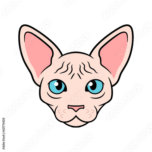 Vector Sphynx Cat Cartoon Head Illustration