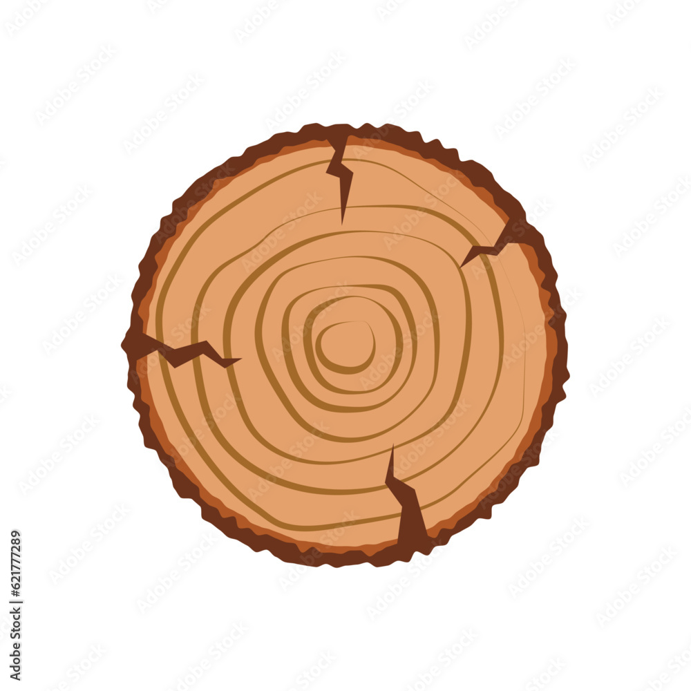 Fototapeta premium cut tree circle vector. cut tree with annual rings