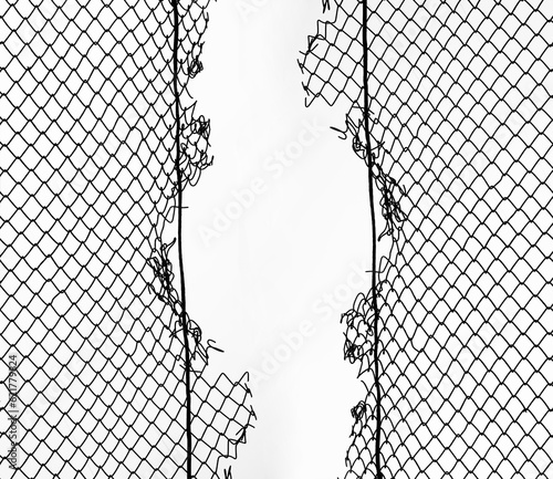 Foto Opening in metallic net fence