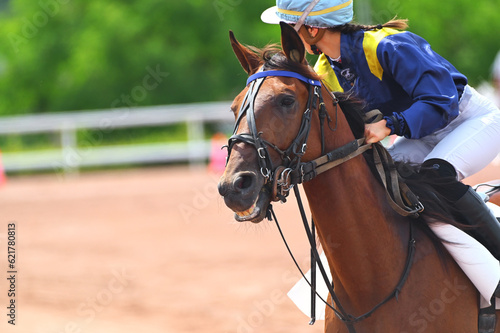 course de chevaux en trot monté © compagnie-17